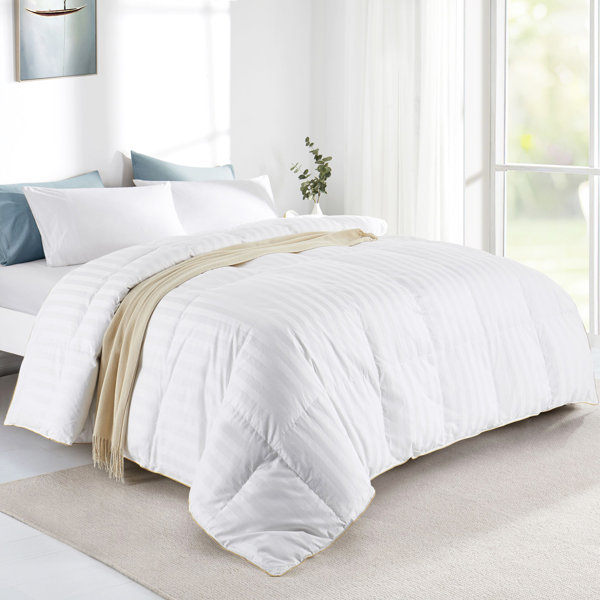Puredown All Season Goose Down Comforter & Reviews Wayfair